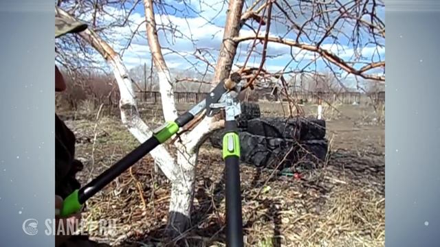 Инструменты для обрезки деревьев и кустарников смотреть онлайн