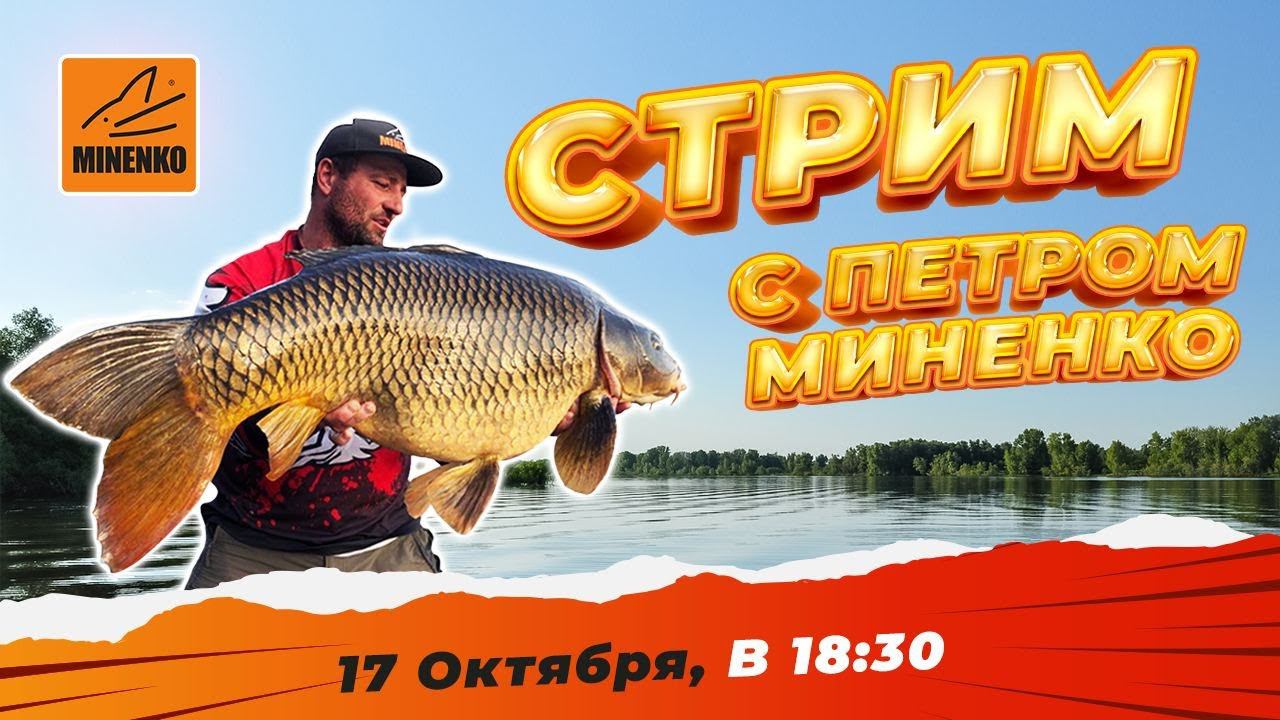 Стрим с Петром Миненко - Ответы на вопросы смотреть онлайн