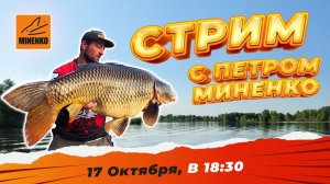 Стрим с Петром Миненко - Ответы на вопросы