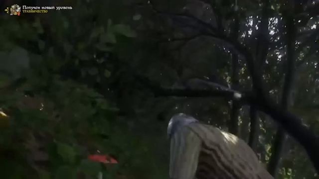 Kingdom Come Deliverance приключение 10 часов смотреть онлайн