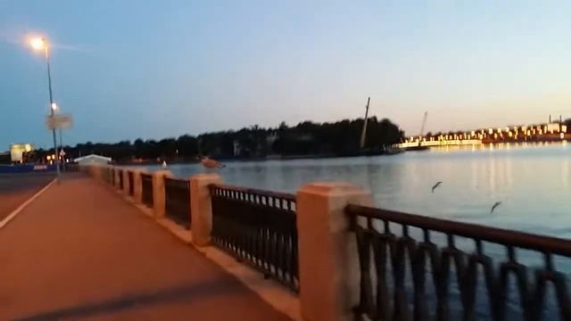 Чайка большая спб смотреть онлайн