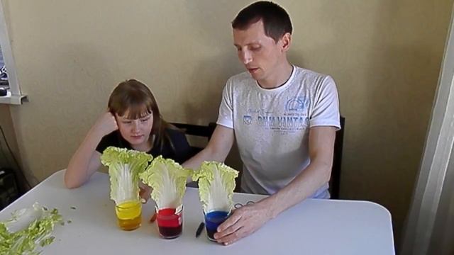 #ЭКСПЕРИМЕНТ КАК ПОКРАСИТЬ В РАЗНЫЕ ЦВЕТА ЛИСТЬЯ КАПУСТЫ смотреть онлайн