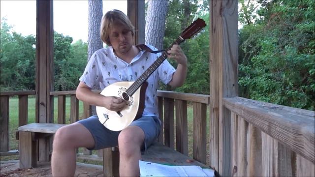 Les Poules Huppées (Crested Hens) on octave mandolin смотреть онлайн