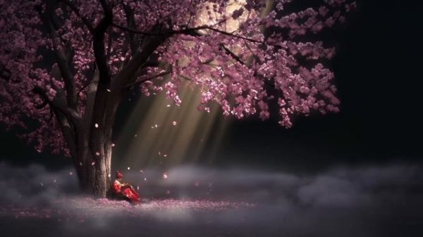 Clear Your Mind with the Best Relaxing Music | Peaceful and Soothing Sounds for Stress Reduction