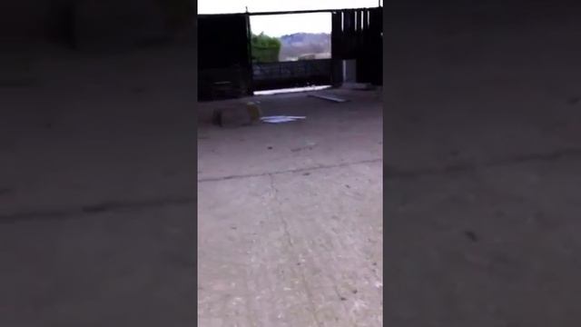 joey doing his 360* tailwhip:) смотреть онлайн