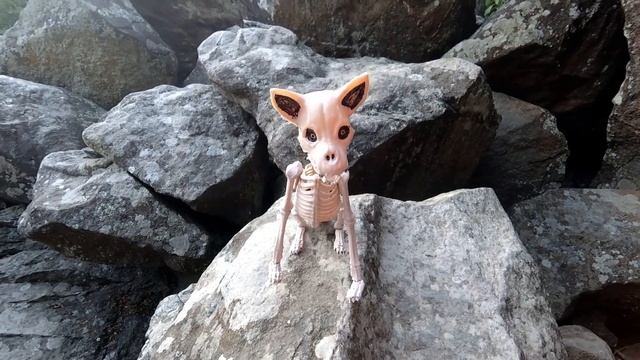 Знакомство в Хаосе с призраком Часть 1 смотреть онлайн