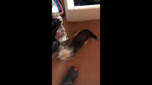 Ах Уехала Жена от Мужа! / Новая Звезда Ютуба / Фестиваль на воде в Leeds / Англия - Harrogate 2019 смотреть онлайн