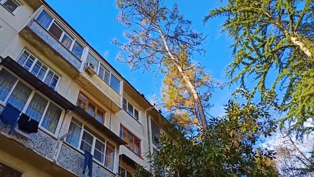 Аниме-Ревью и Обзоры