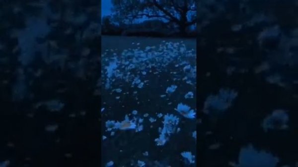 ZXCURSED ПЛЕЙЛИСТ / ZXC GHOUL PHONK DEADINSIDE / СБОРНИК ТРЕКОВ ФОНК