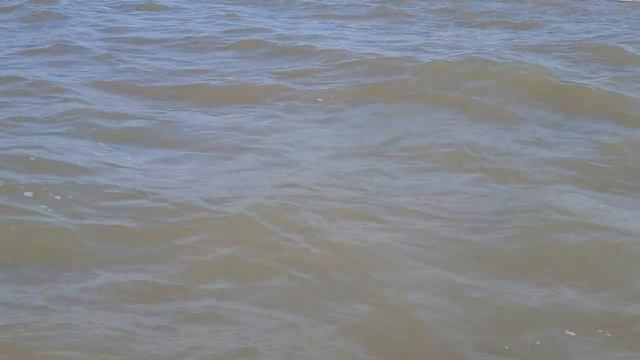 Голубицкая 11.08.2023. Купаться нельзя, везде медузы!? Я ПОРЧУ ОТПУСК - ТЮТЕНЬКОВУ. смотреть онлайн