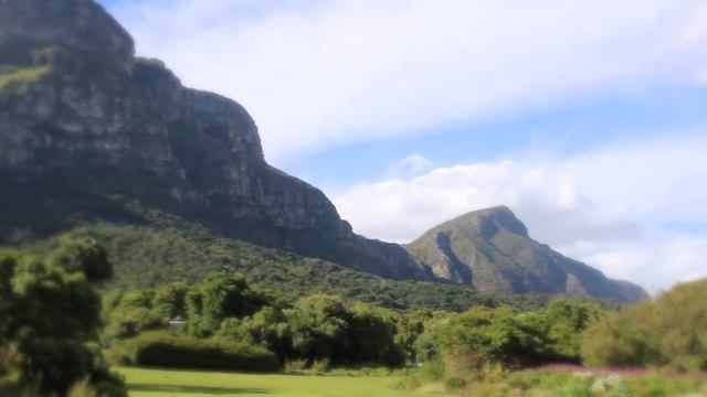 kirstenbosch national botanical garden смотреть онлайн