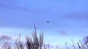 Энэло попало в камеру !