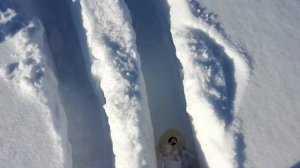 Охотничьи лыжи Маяк. Безполезны в глубоком снегу.