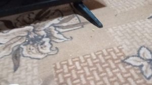 Телевизор завис на заставке, решение проблемы