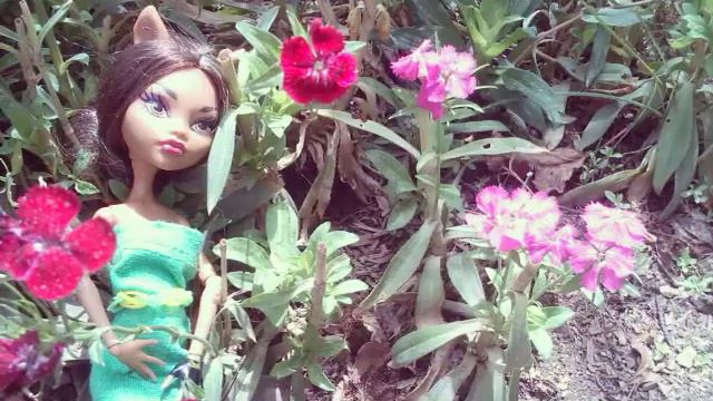 Фото ссесия из -отпуск смотреть онлайн