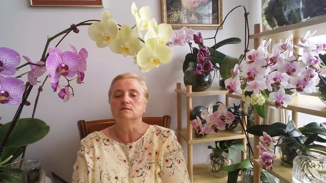 ОРХИДЕИ РАСТУТ в ПУСТОЙ ВАЗЕ..РАСТУЩАЯ и УБЫВАЮЩАЯ ФАЗЫ ЛУНЫ смотреть онлайн