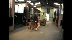 Childhood memories 2