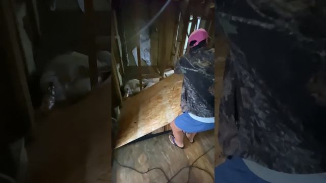 ОСБ листы на пол смотреть онлайн