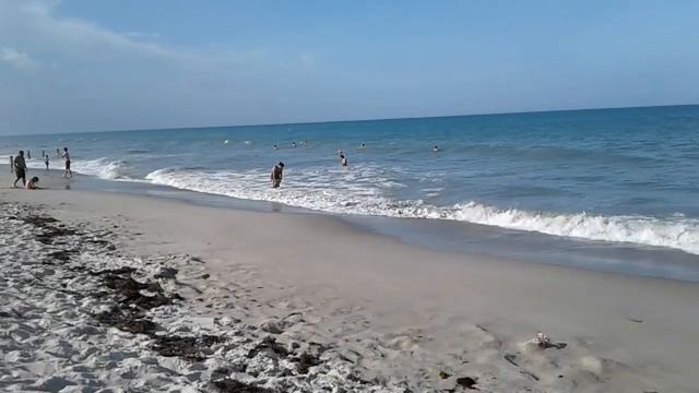 Обзор Anton S Женя Эванс Монро смотреть онлайн