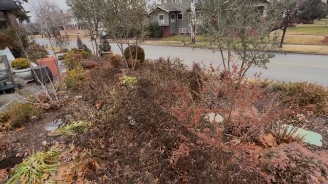 The Cottage Garden: Exactly a Year Later смотреть онлайн