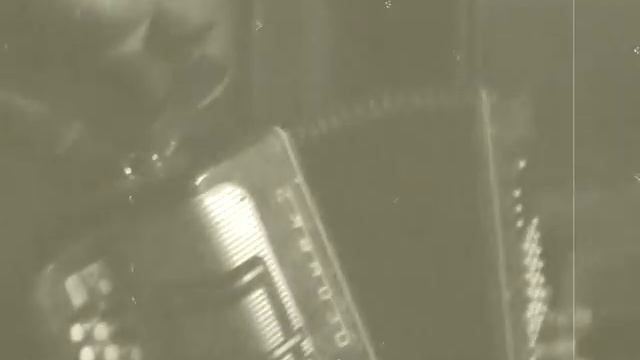 Den Stigmatic Chorus и гармонь смотреть онлайн