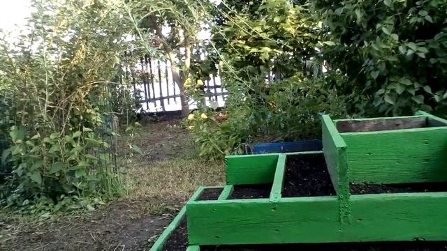 Пирамида Хеопса или клубничная пирамида. смотреть онлайн