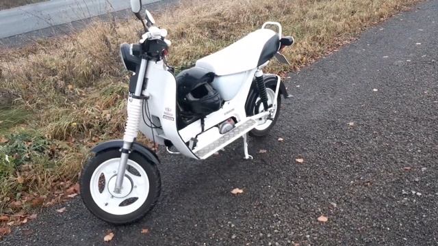 " Der Hermann Steht Im Regen " ? 5.11.21 смотреть онлайн