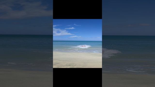 Счастливый мужик влетел в Карибское море и вырубился смотреть онлайн