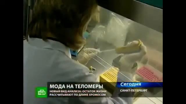 Что же это такое ТЕЛОМЕРЫ! - а 5.10 уже в теме смотреть онлайн