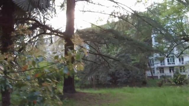 Парк Южные Культуры в Адлере. Красивые места в Сочи и Адлере обязательные для посещения..mp4 смотреть онлайн