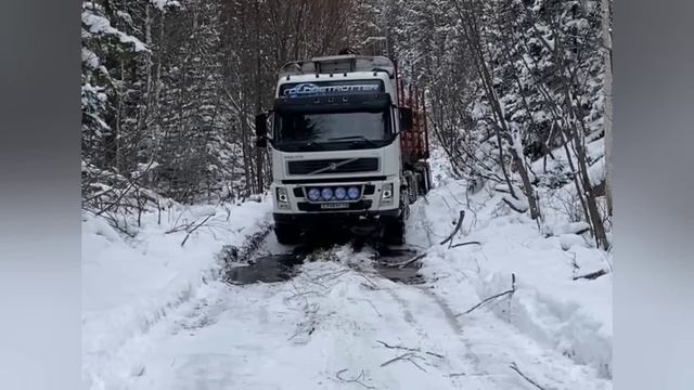 VOLVO лесовоз. Первый снег в лесу. смотреть онлайн