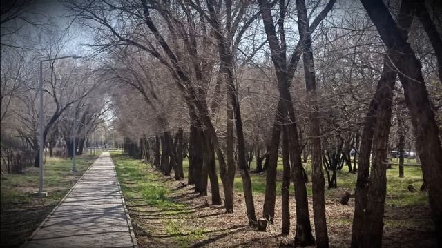 Зять требуют продать родительскую квартиру жены. Зачем твоим родителям такая большая квартира... смотреть онлайн