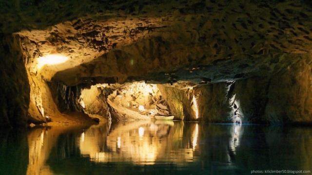 Летняя практика студентов МЦЛ программы "Экология, экономика и право" смотреть онлайн