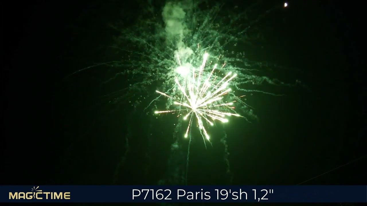 P7162 Paris смотреть онлайн