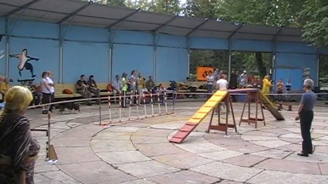 Аджилити
