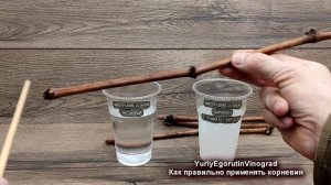 ? Без ЭТОГО ДЕШЕВОГО укоренителя получить 100% укоренение ЧЕРЕНКОВ ВИНОГРАДА невозможно. Корневин.