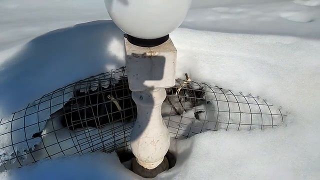 Дача.Конец марта.Все хорошо, прекрасная маркиза.?Отчет мужа. смотреть онлайн