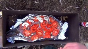 Лучшее блюдо из сазана (рецепт и технология)