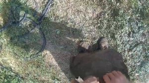 Брёвна в землю что б не гнили 3.  Рубероид