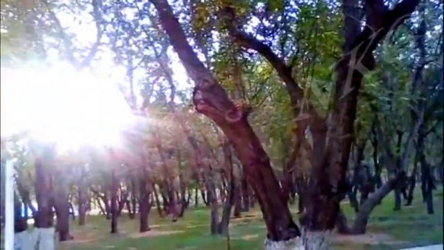 63. Бишкек 2019. По родным дорожкам. 6 микрорайон, сш 39 и 56. Ореховая роща в преддверии осени... смотреть онлайн