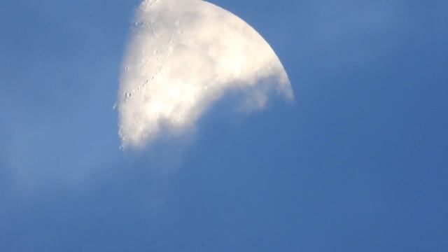 SUPERMOON | Nikon P1000 | Relax смотреть онлайн
