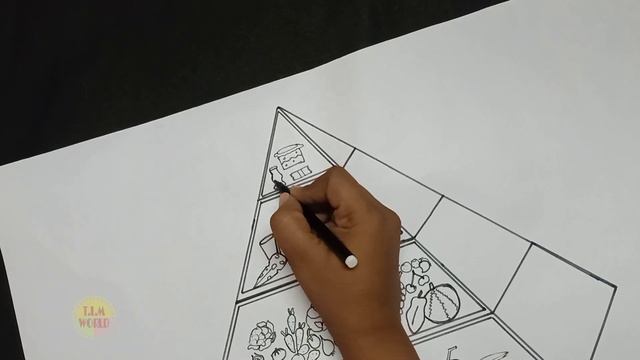 tlm,food pyramid drawing, food pyramid, food pyramid tlm, science tlm@tlmworld смотреть онлайн