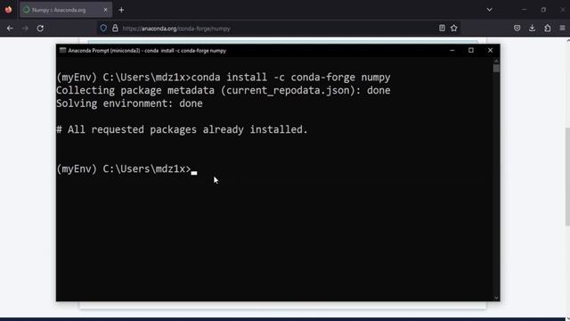 Creating conda environment (with miniconda) and installing Python packages (NumPy, Pandas, ...) смотреть онлайн