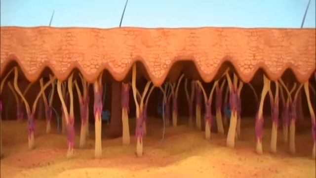 О продукции Madame Heng