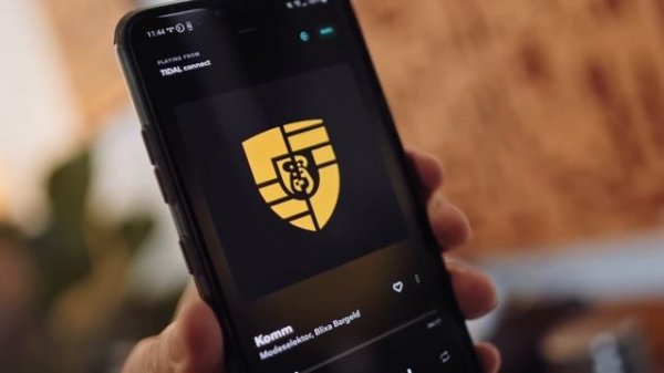 PiDAL: the Raspberry Pi as a TIDAL CONNECT streamer