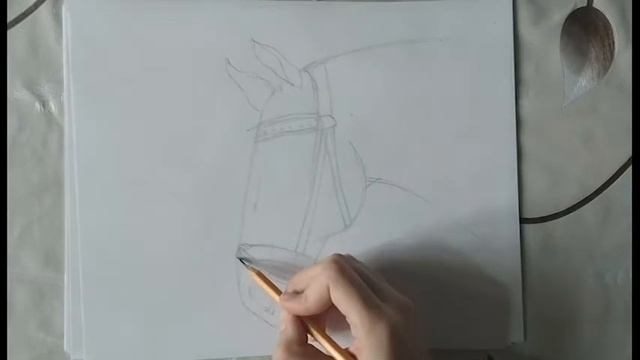 Зоопарк в Реальном Времени
