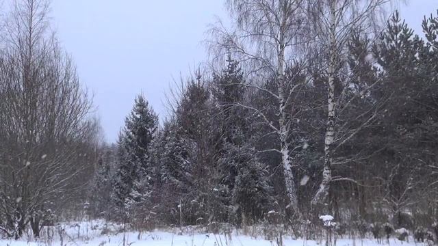 Снежный Вальс смотреть онлайн