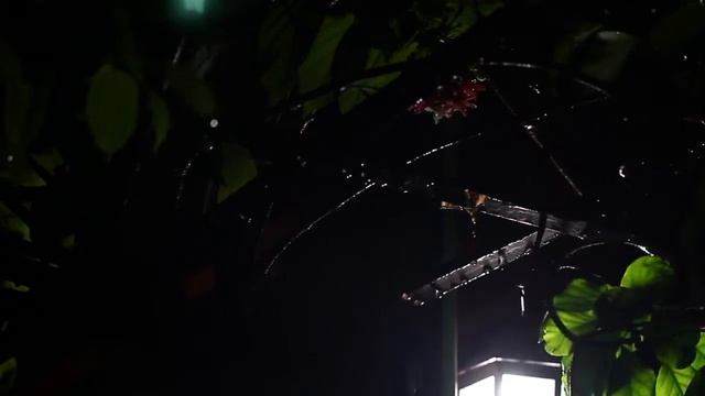 Легкий сон менее чем за 3 минуты - шум дождя и грома в туманном лесу ночью