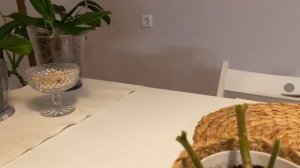 Обрезка Аихризона, до/после