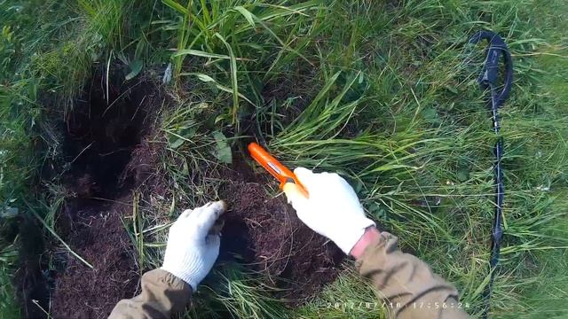 Золотая бабочка коп в горах смотреть онлайн